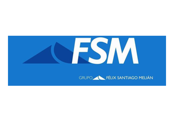 logo empresa Grupo FSM
